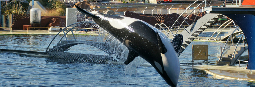 marineland Antibes