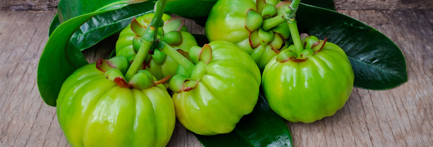 Garcinia Cambogia